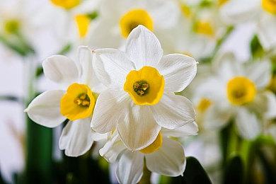 PS港服商城开启“玩转新一年”优惠活动 游戏最低至两折